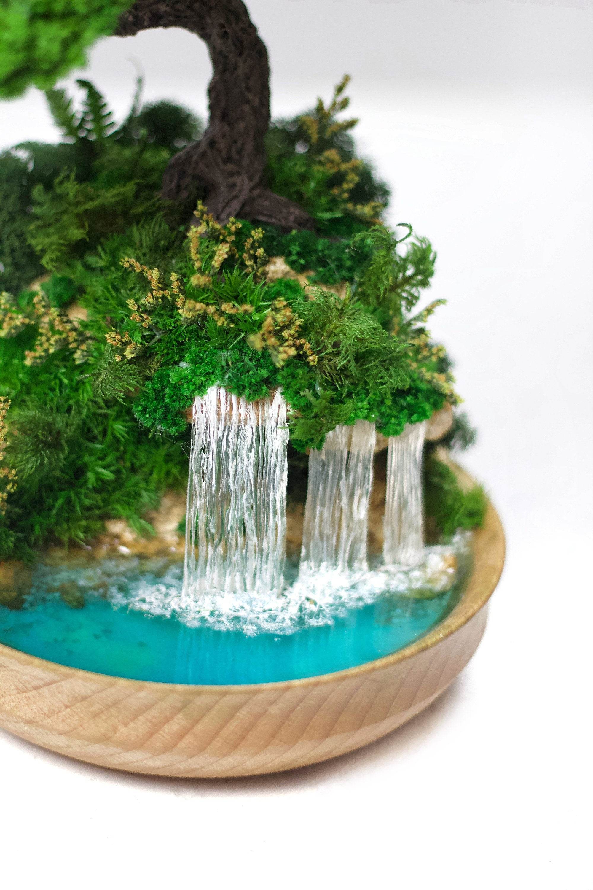 real bonsai tree with waterfall Indoor bonsai with Preserved moss
