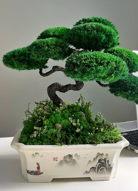 Preserved moss bonsai tree