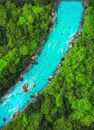 Preserved Moss Wall Art with Forest River