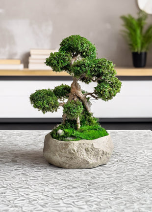 Preserved moss bonsai in stone pot Serenity Tree Magic Gardens
