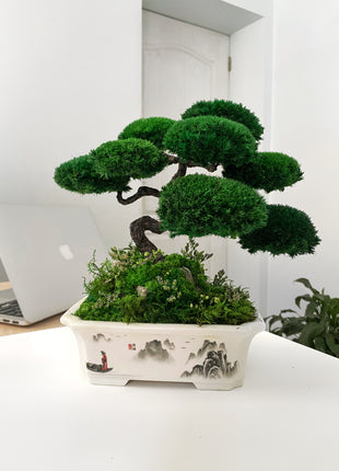 Preserved bonsai