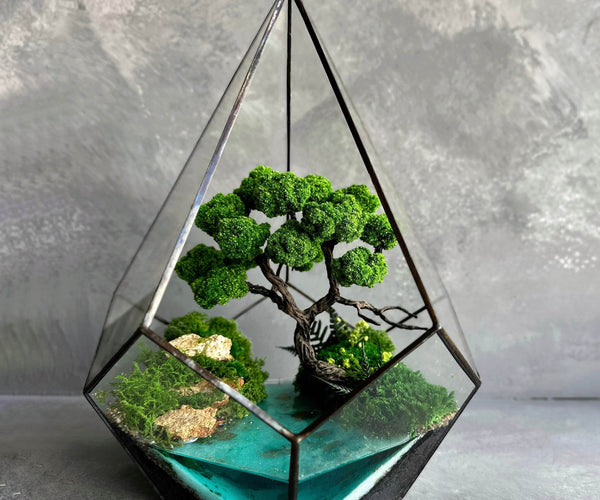 Erhaltener Moos-Glas-Geometrie-Terrarium mit Fluss