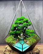 Ocean Waterfall terrarium with moss - Unique plant decor - MagicGardens