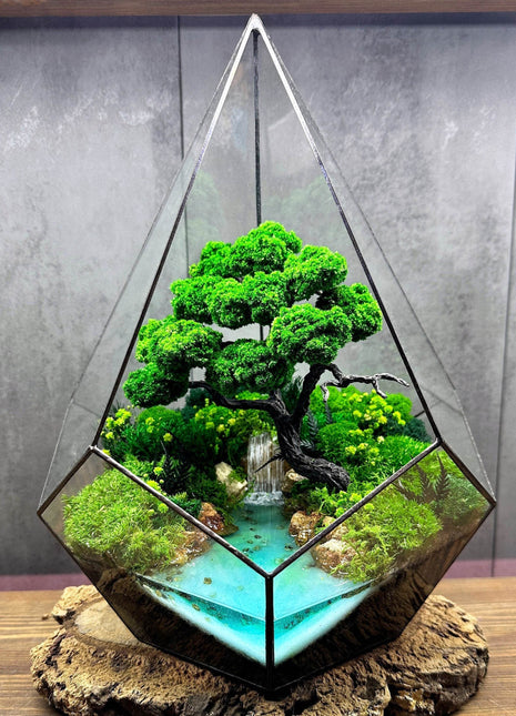 Ocean Waterfall terrarium with moss - Unique plant decor - MagicGardens