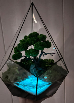 Perfect preserved moss glass terrarium In the drop with waterfall