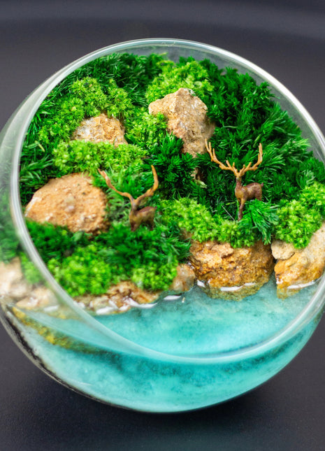 Preserved moss terrarium that glows in the dark with deers