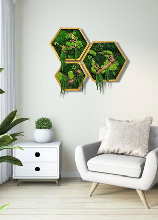 Preserved moss wall art in Geometric Wooden Frame