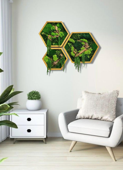 Preserved moss wall art in Geometric Wooden Frame
