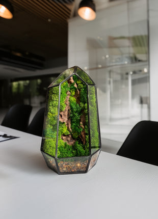 Geometric Crystal terrarium decor - Desktop mossarium