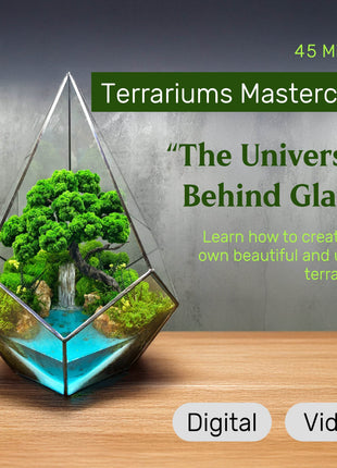ONLINE COURSE: DIY Terrarium Making — Preserved Moss Art, 45 min Digital Product - MagicGardens