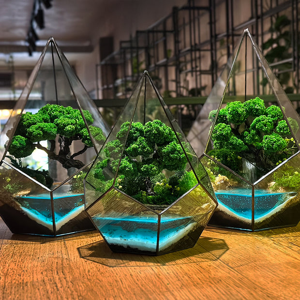 Banner image for: TERRARIUMS