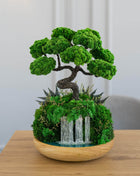 Unique Waterfall Preserved Moss Japanese Bonsai Tree - MagicGardens