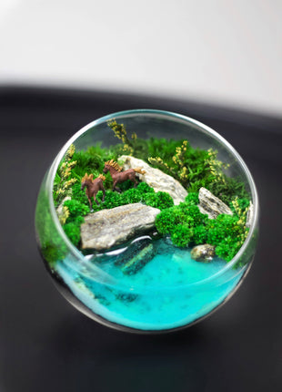 Perfect preserved moss terrarium that glows in the dark with horses