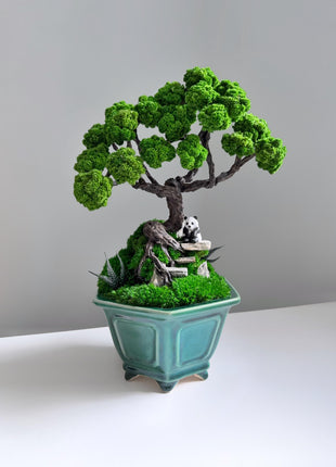 Preserved Moss Bonsai