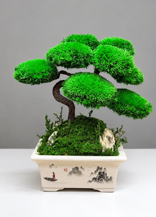 Bonsai with stabilized plants Emperor's Garden | Ceramic planter