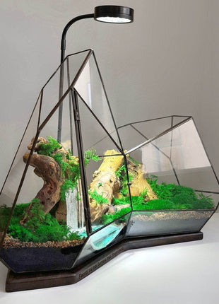 Mountain Waterfall Terrarium with Moss and Lamp – Large Glass Display - MagicGardens