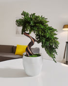 Preserved Juniper Bonsai Tree in White Ceramic Pot – Handmade No Watering Faux Bonsai, Japandi Zen Home Decor, Unique Gift Idea