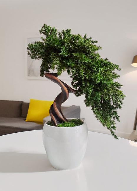 Preserved Juniper Bonsai Tree in White Ceramic Pot – Handmade No Watering Faux Bonsai, Japandi Zen Home Decor, Unique Gift Idea