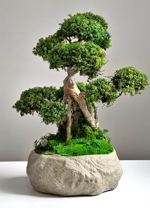 Decorative bonsai tree with stabilized moss in natural stone pot — handmade Japanese minimalism