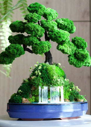 Bonsai with preserved moss and waterfall – Mountain Harmony - MagicGardens
