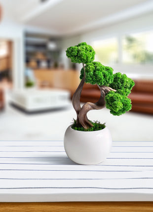 Mini Preserved Moss Bonsai Tree in White Ceramic Pot – Handmade Zen Desk Decor