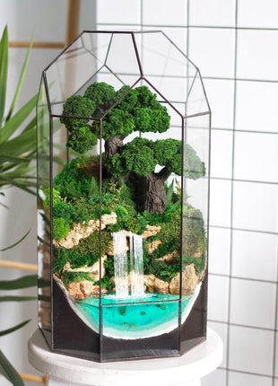 Terrarium dome with bonsai tree, waterfall and preserved moss Oak Grove - MagicGardens