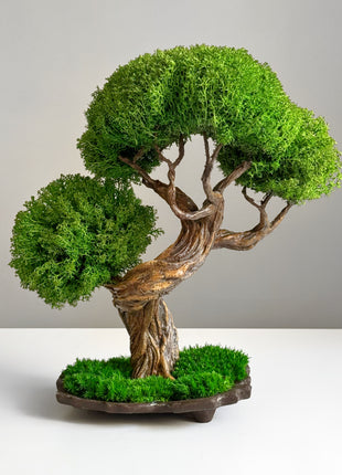 Close-up of preserved green foliage on Emerald Harmony bonsai