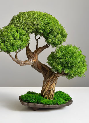 Preserved bonsai Emerald Harmony with two green crowns on decorative base