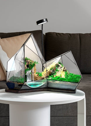 Mountain Waterfall Terrarium with Moss and Lamp – Large Glass Display - MagicGardens