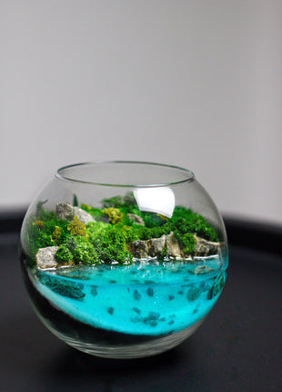 Close-up of moss landscape with stones and glowing pond in glass bowl