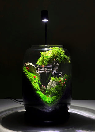 Glass aquarium with a miniature landscape and LED light on a dark background