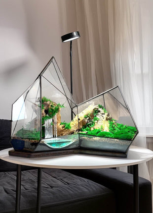 Mountain Waterfall Terrarium with Moss and Lamp – Large Glass Display - MagicGardens