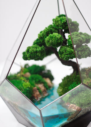 Preserved  moss crystal terrarium In the drop