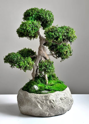 Preserved moss bonsai Serenity Tree with sculptural trunk in stone pot — unique handmade interior decoration