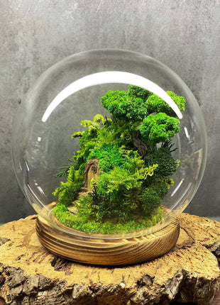Closed Glass Dome Terrarium with Preserved Moss & Fairy Door