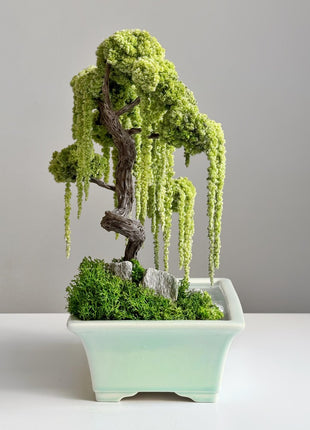 Preserved Willow Bonsai Tree with Water Imitation