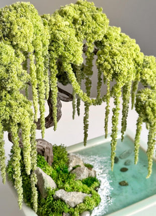 Preserved Willow Bonsai Tree with Water Imitation
