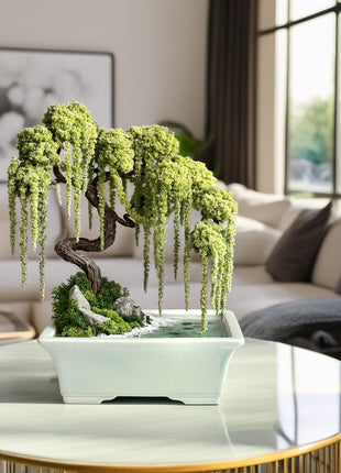 Preserved Willow Bonsai Tree with Water Imitation