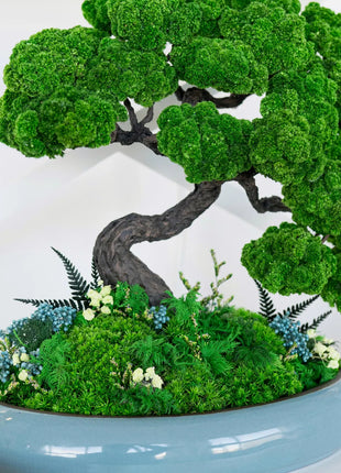 Stabilization of bonsai “The Way of Peace”