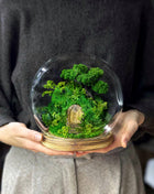 Closed Glass Dome Terrarium with Preserved Moss & Fairy Door