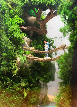 Terrarium "Forest Canyon" with preserved moss and a loving couple on a bridge with a lamp.