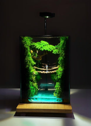 Terrarium "Forest Canyon" with preserved moss and a loving couple on a bridge with a lamp.