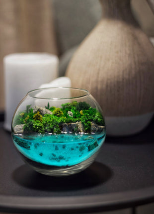 Glass Miniature Terrarium - Best  Corporate gift