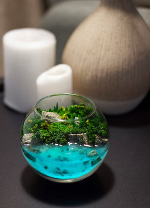 Glass Miniature Terrarium - Best  Corporate gift