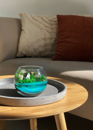 Tropical Ocean Glass Terrarium with Lodge