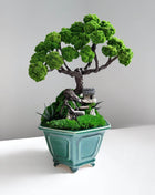 Handmade Preserved Moss Bonsai Tree with Panda Figurine - MagicGardens