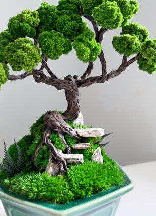 Zen garden, Gift for Plant Lovers, Moss Art, Eco-Friendly Decor, Preserved Moss Bonsai