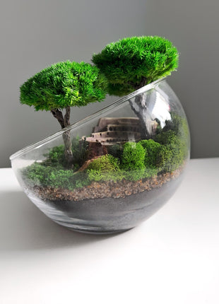 Perfect Miniature Rome Colosseum Terrarium with Preserved Moss and Trees