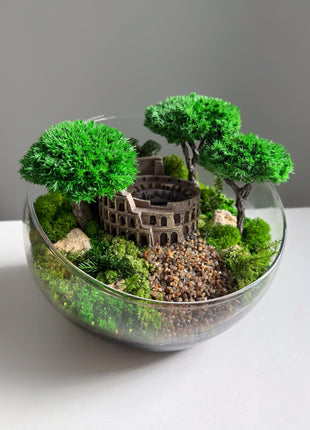 Rome Colosseum Terrarium with Preserved Moss and Trees