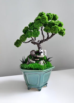 Zen garden, Gift for Plant Lovers, Moss Art, Eco-Friendly Decor, Preserved Moss Bonsai